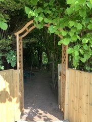 LW Woodland 2